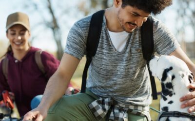 Less scrolling, more strolling