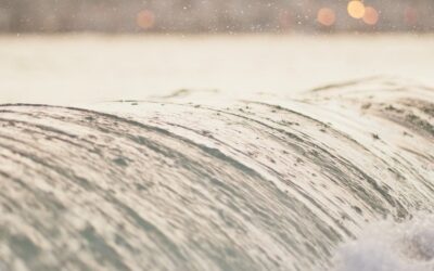 Riding the waves of financial uncertainty