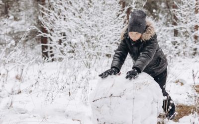 The Snowball vs. The Avalanche