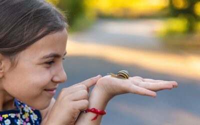 Curious, not critical