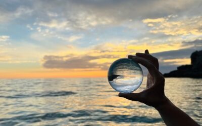 Predictions, Plans, and the Power of Perspective