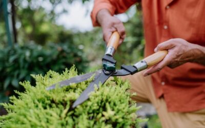 What’s holding you back?