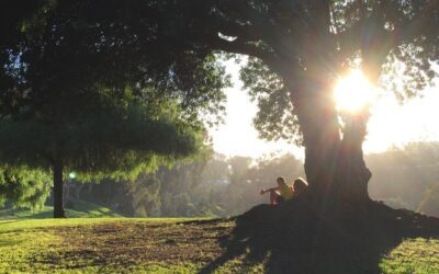 Does stillness feel strange?