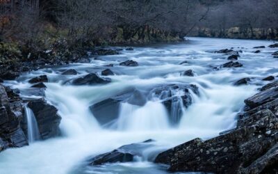 The custodian mindset