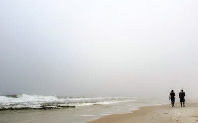 The high cost of hurry